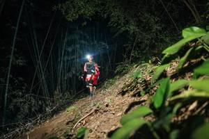 BIB: 
                            <button type="button" onclick="openModal(28159260)" class="btn btn-primary btn-sm float-right btn-popup" data-toggle="modal" data-target=".modal-high-quality">
                        <i class="fas fa-shopping-cart"></i> Add to Cart
                    </button>
                                            <button type="button" onclick="isThisMe(28159260, true)" class="btn btn-success btn-sm float-right btn-popup btn-isme hidden" data-toggle="tooltip" data-placement="bottom" title="นี่คือรูปของคุณใช่ไหม คลิกที่นี่เพื่อเอาเข้าอัลบั้ม">
                        <i class="fas fa-plus"></i> Add to album
                    </button>
                    <button type="button" onclick="isThisMe(28159260, false)" class="btn btn-warning btn-sm float-right btn-popup btn-isnotme hidden">
                        <i class="fas fa-ban"></i> Remove from album
                    </button>